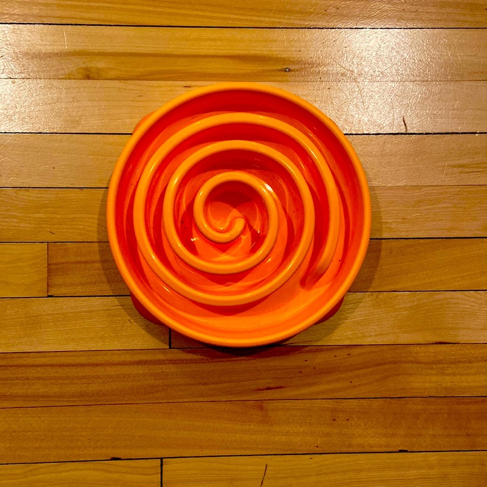 Slow feeder bowl